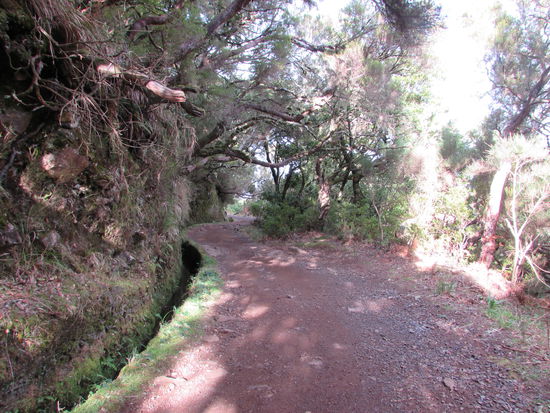 Der Weg führt dann bequem entlang der Levada.