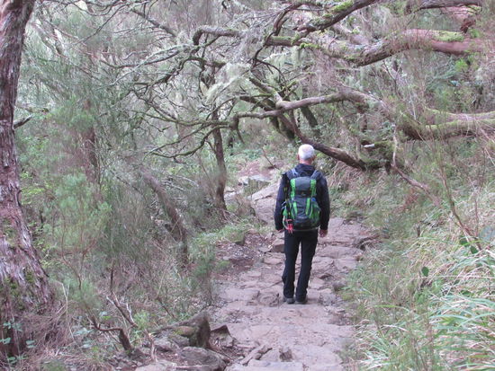 Geht dann über Steintreppen abwärts.