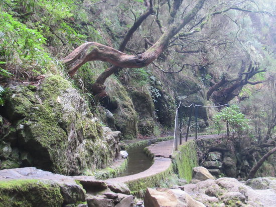 Wieder entlang der Levada.