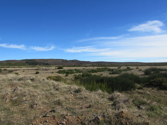 Die Hochebene Paulo da Serra.