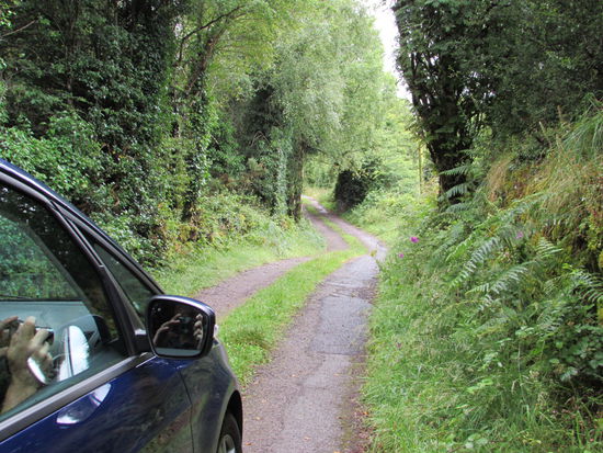 Wir beschließen auch mal abseits der gut ausgebauten Straßen zu fahren...