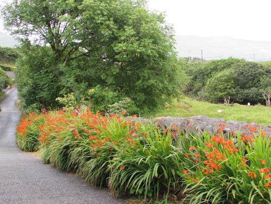 Ein wiederkehrender wunderschöner Anblick