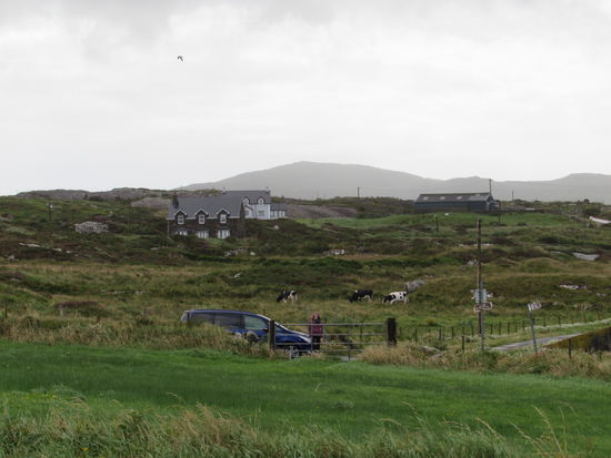 ...wir warten im Auto kurz ab ....