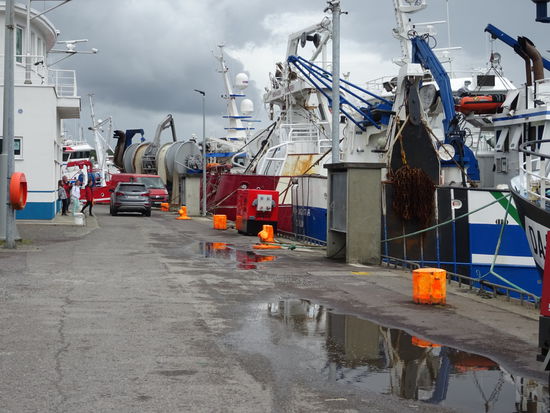 Unser nächster Stopp ist der  Hafen von Castletownbere
