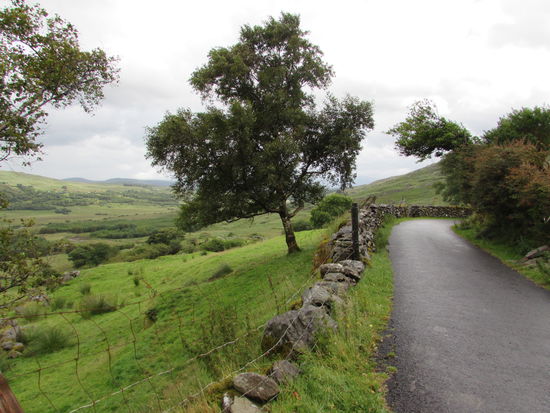 Die Straßen sind so schmal, das wir immer mal wieder zurück setzen mussten, in die nächste Ausweichbucht, um den Gegenverkehr durchzulassen.