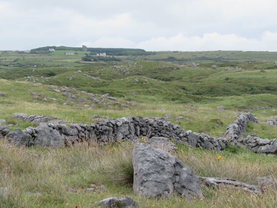 Überall in Irland sieht man diese Mauern. Sie schützen die Felder und Wiesen vor Erosion.