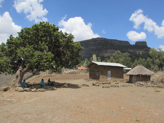 Jetzt sitzen Schülerinnen im Schatten des Baumes.