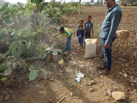 Ein Junge erklärt ihm, wie er die Stacheln der Kakteen abbrennt, um so Futter für die Rinder zu haben.