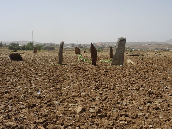 Auf einem Acker direkt gegenüber des Dongur Palst befinden sich noch viele weitere Stelen, die Bauern finden hier immer wieder Münzen und Grabbeigaben, von daher wird es noch einige Gräber in diesem Bereich geben aber bislang wurden keine Ausgrabungen unternommen.