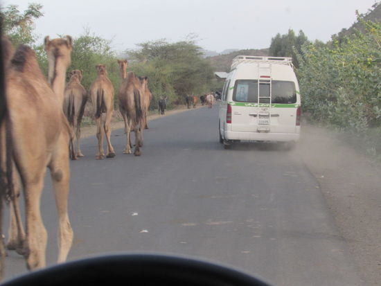 Der Fahrer muss immer wieder ausweichen.