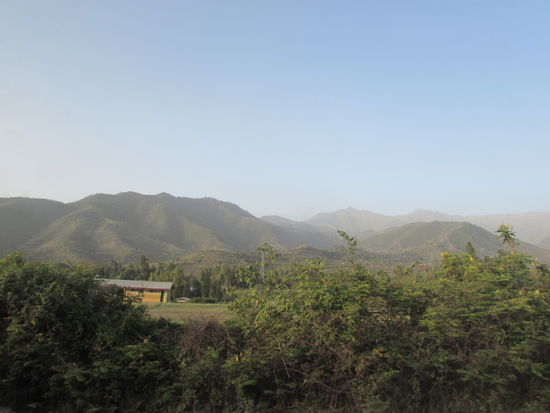 Kaum haben wir Woldeya verlassen, staunen wir wie grün hier alles ist. Happy erklärt uns, das es hier viel regnet und es Bewässerunskanäle gibt.