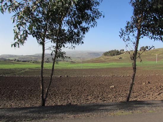 Kilometerweit geht es über diese endlos erscheinende Ebene. Kaum zu glauben, das wir auf 3500 m Höhe sind.