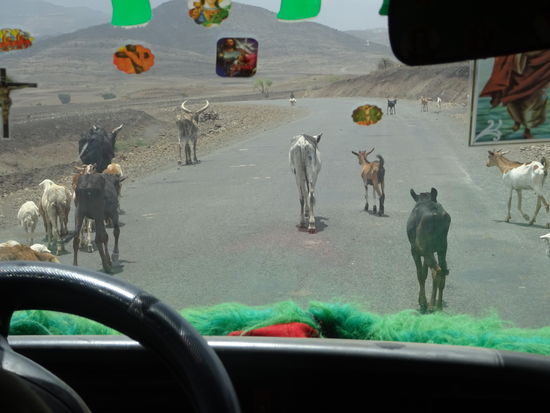 Ein Straßenbild das einen durch ganz Äthiopien begleitet.