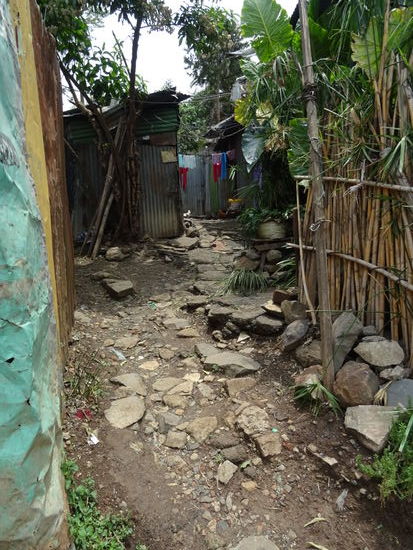 Ein Blick in den Hinterhof.