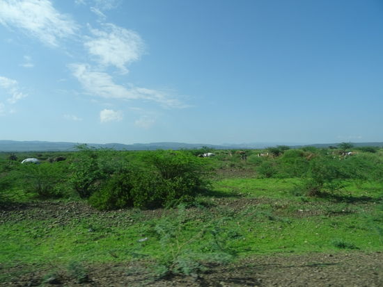 Die Hütten der Afar sind im Buschwerk kaum sichtbar
