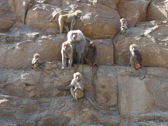 Das war unsere erste Begegnung an diesem Tag.