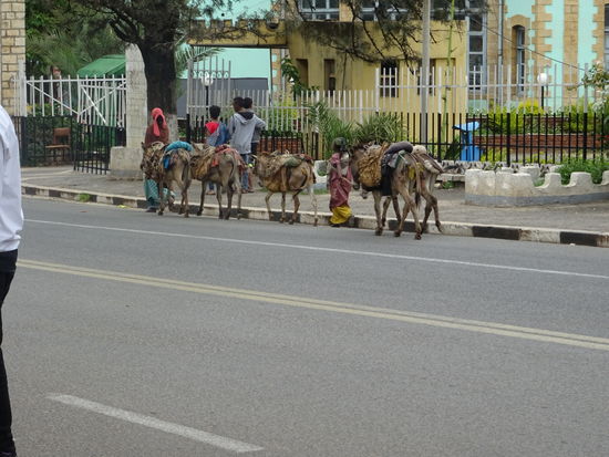 Gerade in den Städten treffen modernes und traditionelles, sowie arm und reich ganz extrem aufeinander.