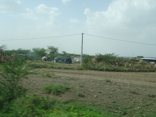 Im Gebiet der Afar, auf ca. 1000m Höhe. Die Einheimischen nennen es Low Land.