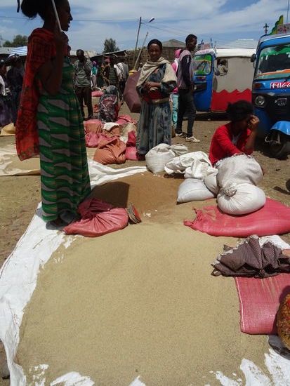 Im Angebot ist natürlich auch Teff. Aus diesem Hirsegewächs wird Injera hergestellt. Injera ist das Grundnahrungsmittel schlecht hin in Äthiopien.