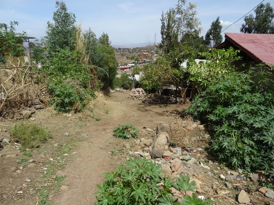 Das letzte Stück gehen wir zu Fuß