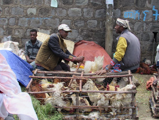 Am Straßenrand werden Hühner verkauft für das Festessen zu Ostern.