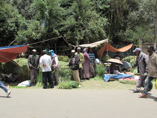 Hier wird Gras verkauft. Es dient als Teppich, um das Zuhause für die Festtage herzurichten.