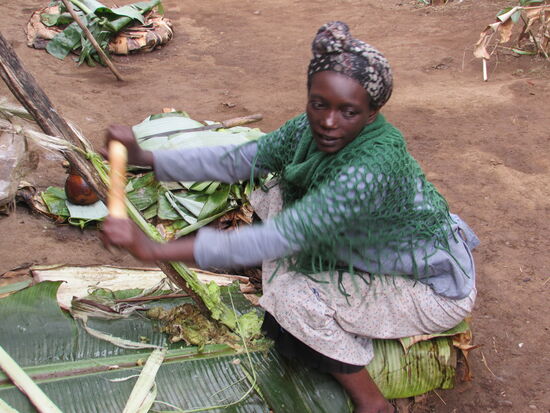 Gern zeigt man uns die Herstellung von Brot aus der false Banana.