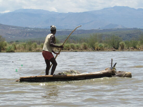 Ganz schön mutig bei so vielen Krokodilen.