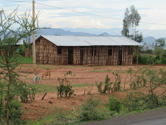 Neben den runden Tukuls, sehen wir auch immer wieder diese Art Hütten.