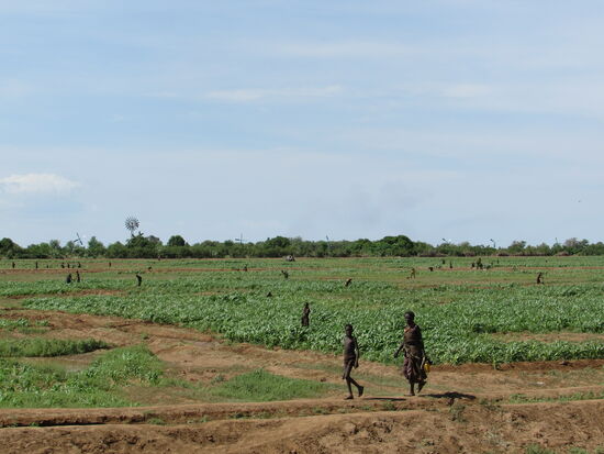 Der trockene Boden gibt nur noch wenig her.