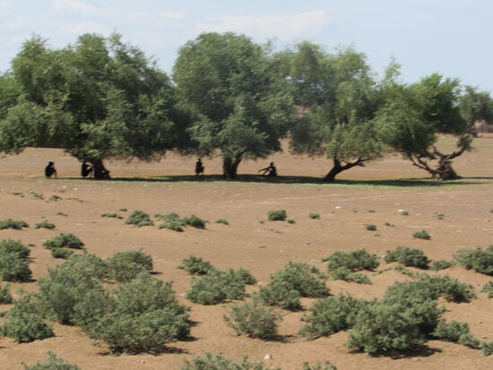 Unter den wenigen Bäumen suchen die Menschen Schutz vor der sengenden Hitze und der Trockenheit.
