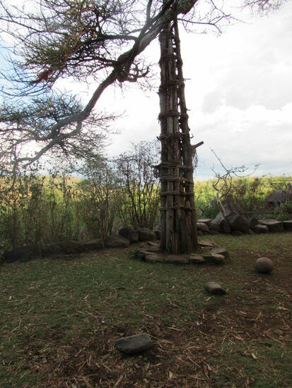 Ein Generationen Baum im Dorf
