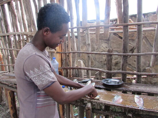 Der Fisch wird zum Verzehr zubereitet.