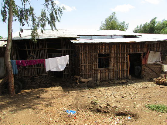 Die Häuser werden aus Eukalyptus Holz gebaut.