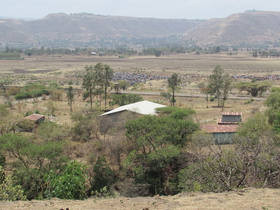 In der Ferne ist noch einmal der riesige Viehmarkt zu sehen.