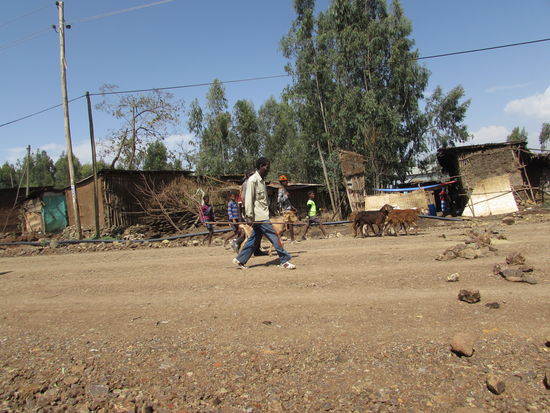 Dann sind wir auch schon wieder auf den Weg zurück und lassen die vorbei ziehenden Eindrücke auf uns wirken.