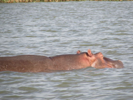 Ich kann mich nicht satt sehen 