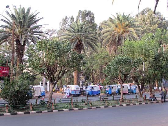 Die Straßenansicht direkt vor unserem Hotel. Diese Stadt ist für Ihre mit Palmen gesäumten Straßen bekannt.
