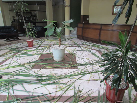 Als wir das Hotel verlassen, sehen wir noch das der Eingangsbereich mit Gras geschmückt ist. Das ist hier zu Ostern so Brauch.