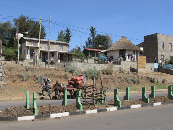 Dann geht es nach Debark. Dort müssen wir uns registrieren, bevor es in den Nationalpark geht.