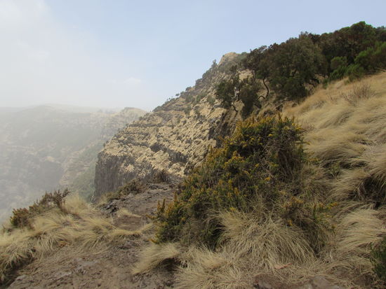 Dann geht es los. Bergauf, bergab geht es durch die schöne Bergwelt. Leider ist es sehr diesig.