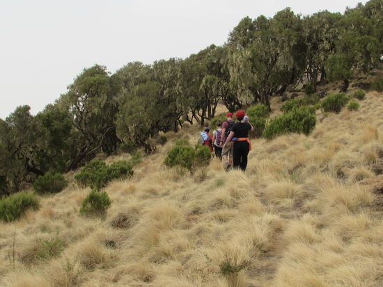 Schon geht es weiter