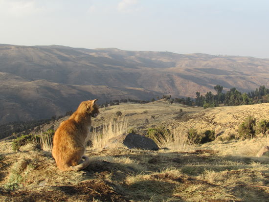Das ist sicher ein schöner Platz.