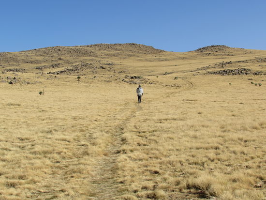 Dann geht es los. Mit uns geht der junge Scout. Die anderen winken uns noch mal zu und schon sind sie außer Sichtweite.
Es ist vereinbart, dass wir uns alle an einer Straße, wo der Bus auf uns warten wird , treffen.