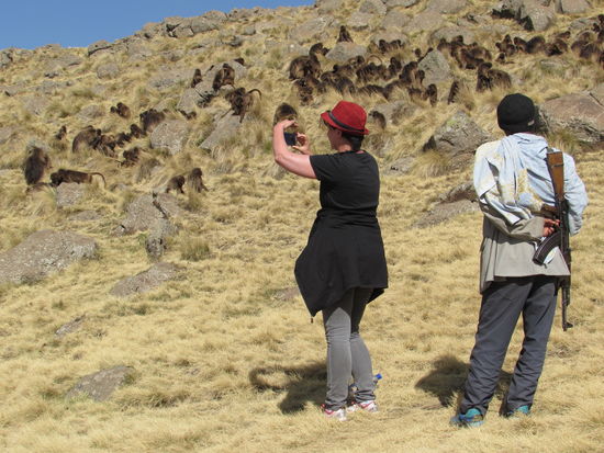 Wir sind fasziniert.