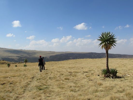Nun geht es Richtung Ziel. Irgendwo da hinten ist die Straße.