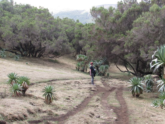 Wir wandern wieder stundenlang und wir sind angesichts der Anstrengung froh, das wir nicht mit den anderen gegangen sind.