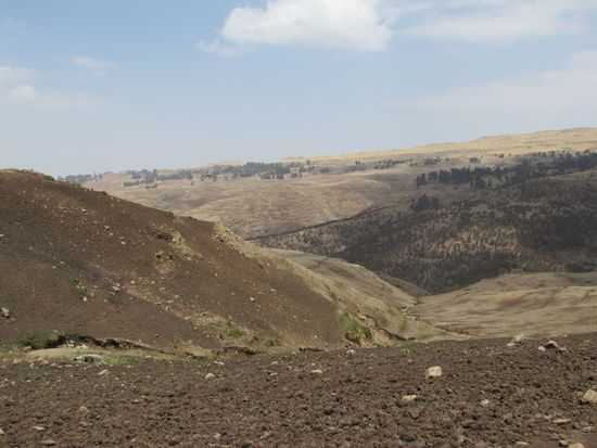 Zum Schluss ist die Landschaft sehr karg. Wir gehen entlang von Ackerflächen.