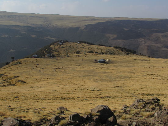 Plötzlich sind alle unruhig, hinter der Lodge ziehen 4 Wölfe vorbei. Jeder versucht sie zu sehen und ein Foto zu ergattern. Doch sie sind zu weit weg.