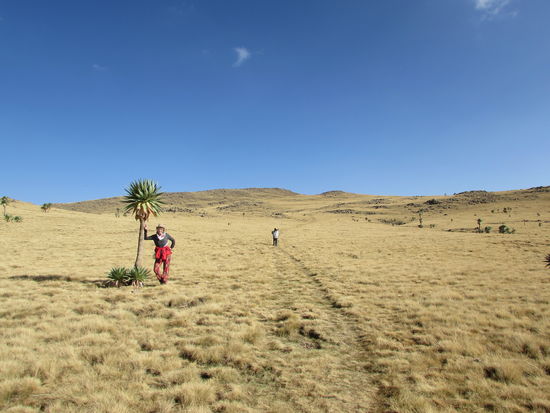 Wir wandern zunächst ein wenig durch die endlos scheinende Graslandschaft aufwärts. In der Graslandschaft verteilt wachsen einige Palmen und im Hintergrund die fantastische Bergwelt.